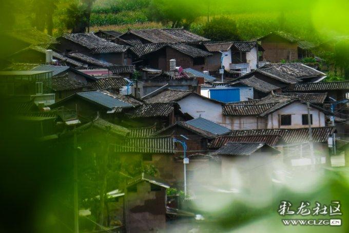 首店经济激发消费新动能(大数据观察)